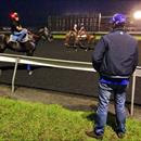 Owner Andrew Williams casting his eye over Mecir in the lead up to the NJC Newmarket Hcp