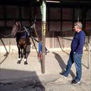 Owner Tony Brennan at Randwick trials looking over his horse More Than Frank