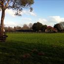 Pencarrow Stud Pencarrow Stud
