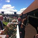 Phil Duggan with John and Niwot after his dominating win at Flemington