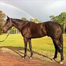 Rainbow Styling enjoying the QLD sunshine Rainbow Styling enjoying the QLD sunshine