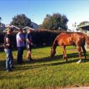 Ron and Stirling Milne at the stables Derby Eve looking at Polish Knight.