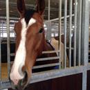 Somebody is very happy to be back!!! Somebody is very happy to be back!!!