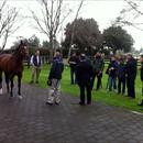 Steve Till talks to the group about their new Stallion 'Rip Van Winkle' Steve Till talks to the group about their new Stallion 'Rip Van Winkle'