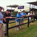 Sydney Easter Yearling Sales 2012