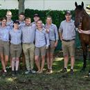 Who's got the BEST colt in the @mmsnippets sale ?? @ArrowfieldStud HAD... Hawkes Racing HAVE !!! Who's got the BEST colt in the @mmsnippets sale ?? @ArrowfieldStud HAD... Hawkes Racing HAVE !!!