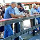 With part of our crew inspecting yearlings With part of our crew inspecting yearlings
