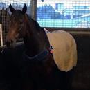 Zephyron after his practice session this morning preparing for his game this Saturday Zephyron after his practice session this morning preparing for his game this Saturday
