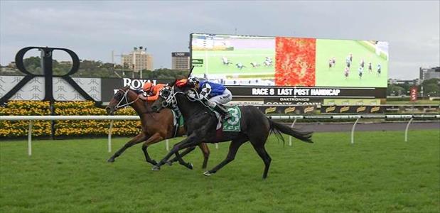Military Machine - Royal Randwick - 25/04/2017
