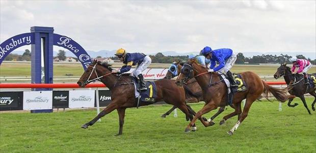 The Cheetah - Hawkesbury - 18/05/2017