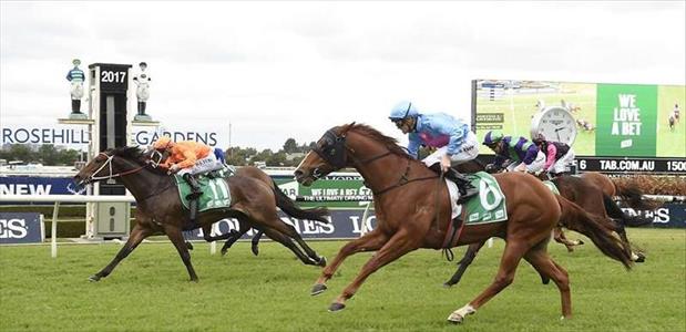 Firsthand - Rosehill Gardens - 03/06/2017