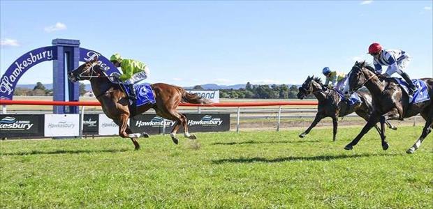Sprightly Lass - Hawkesbury - 06/07/2017