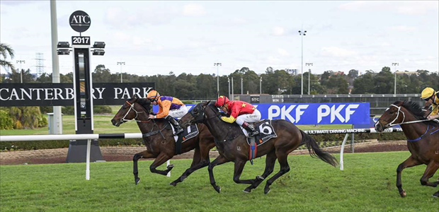 Overshare - Canterbury Park - 21/06/2017